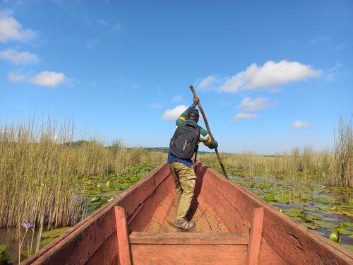 Mabamba swamp