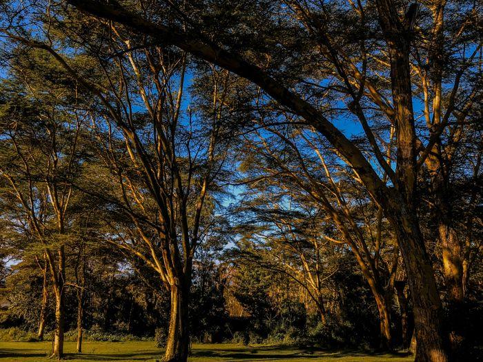 Oloidien Lake Kenya