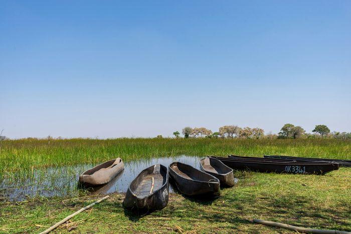 Okavango panhandle botswana mokoro