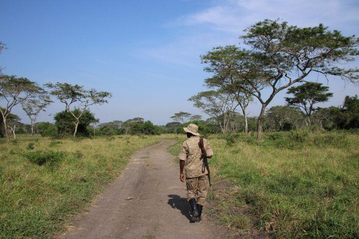 safari lake mburo