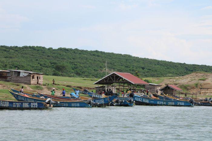 Queen Elizabeth National Park