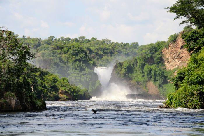 Murchison Falls