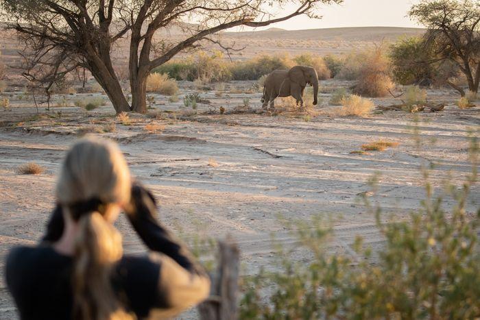 circuit en Afrique