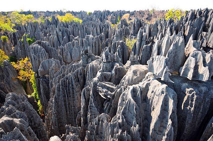 Tsingy De Bemaraha, Madagascar